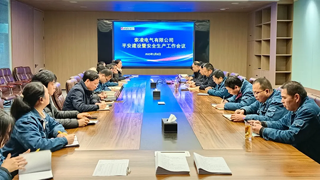 尊龙凯时体育官方网站-尊龙凯时体育（中国）年度安全工作会议：压实责任，护航发展